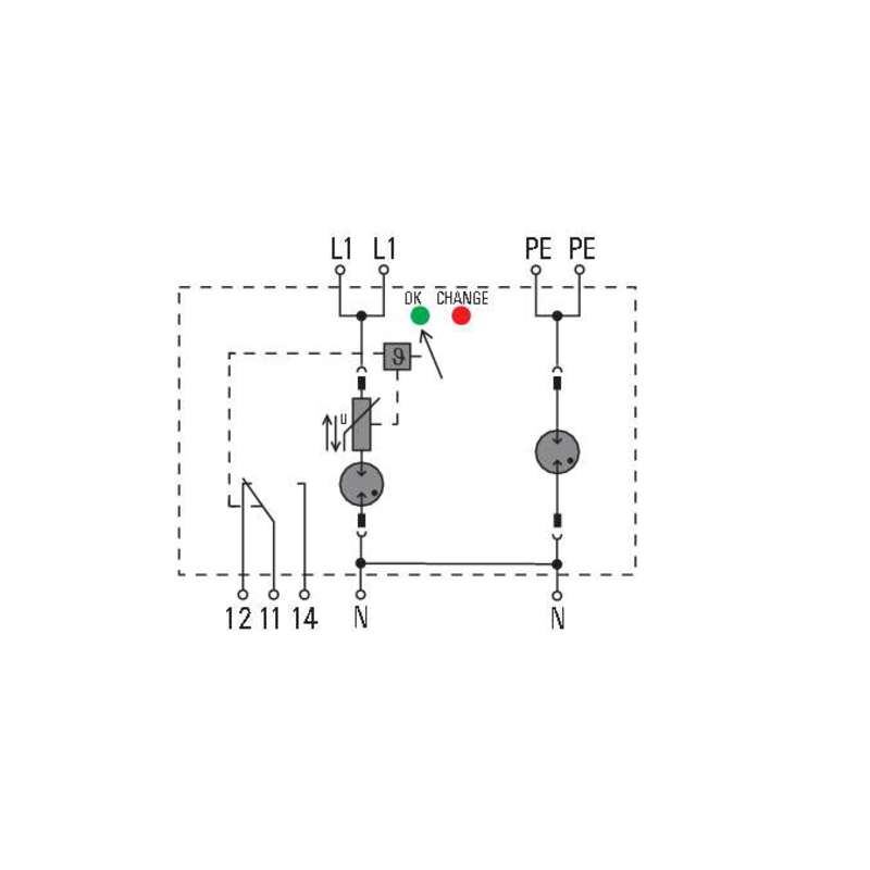 DDS_2135632