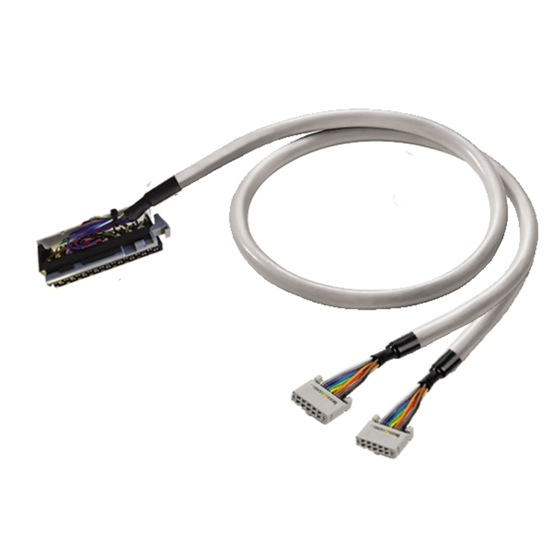 PAC-CJ1W-2X10-V1-9M