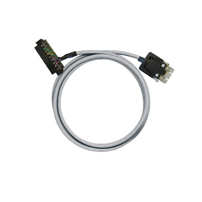 PAC-CMLX-RV24-V3-2M5