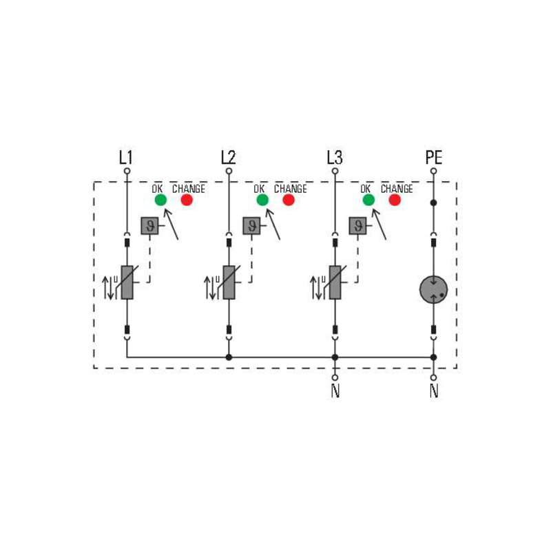 DDS_2135591