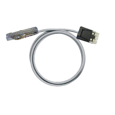 PAC-MICR-RV36-V0-1M5