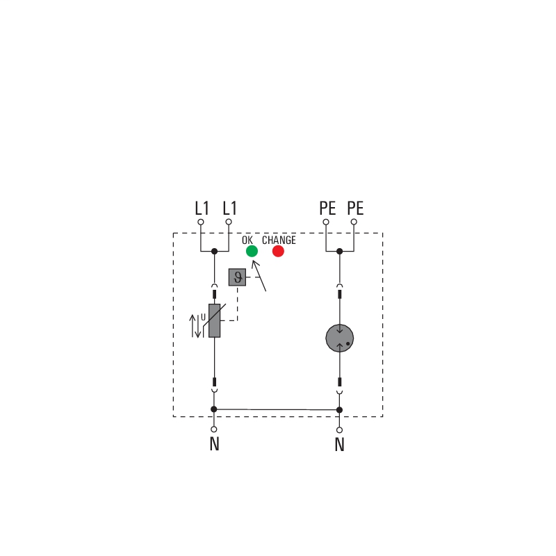 DDS_2136617