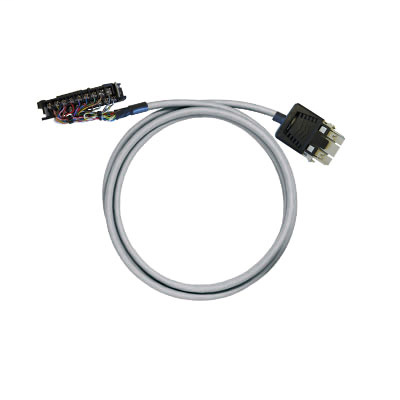 PAC-CQM1-RV24-V0-9M