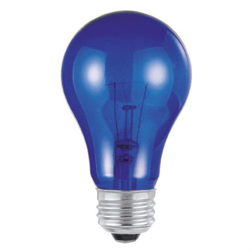 25 Watt A19 Incandescent Light Bulb