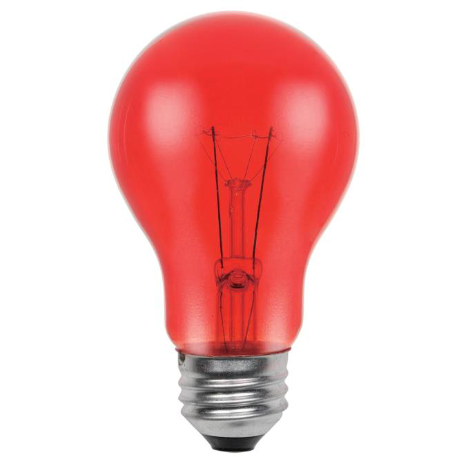Product image for WEST 0344600 25 Watt A19 Incandesce
