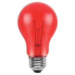 WEST 0344600 25 Watt A19 Incandesce