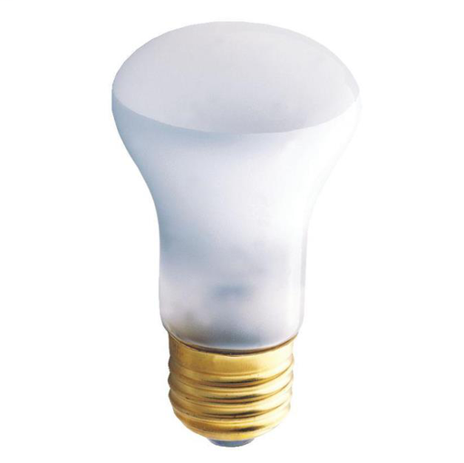 40 Watt R16 Incandescent Spot Light Bulb