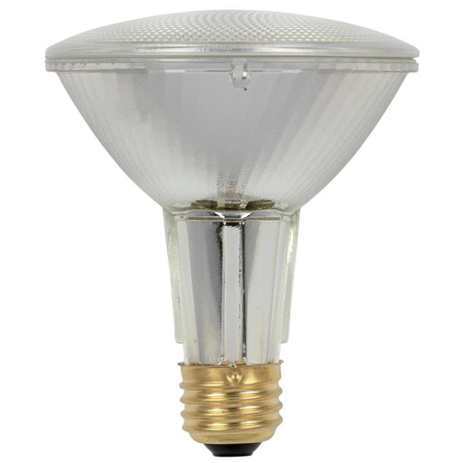 WEST 3684200 60 Watt PAR30 Long Nec Product image for WEST 3684200 60 Watt PAR30 Long Nec