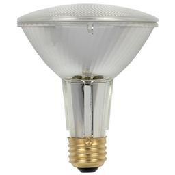 WEST 3684200 60 Watt PAR30 Long Nec
