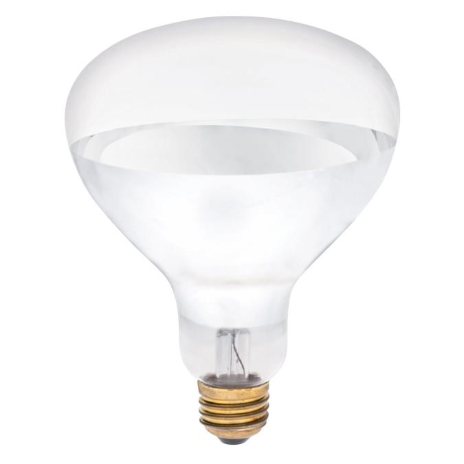 Product image for WEST 0391600 250 Watt R40 Incandesc