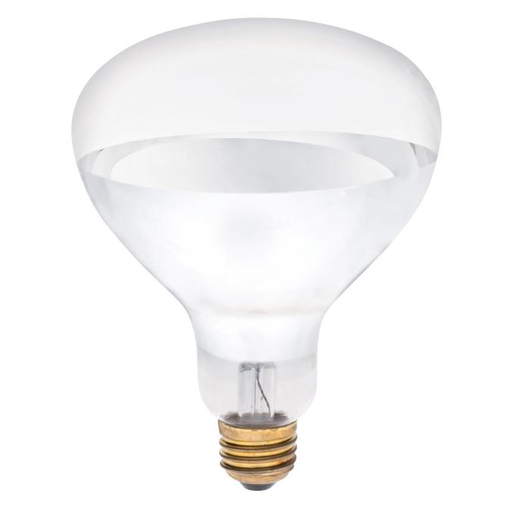 Product image for WEST 0391600 250 Watt R40 Incandesc