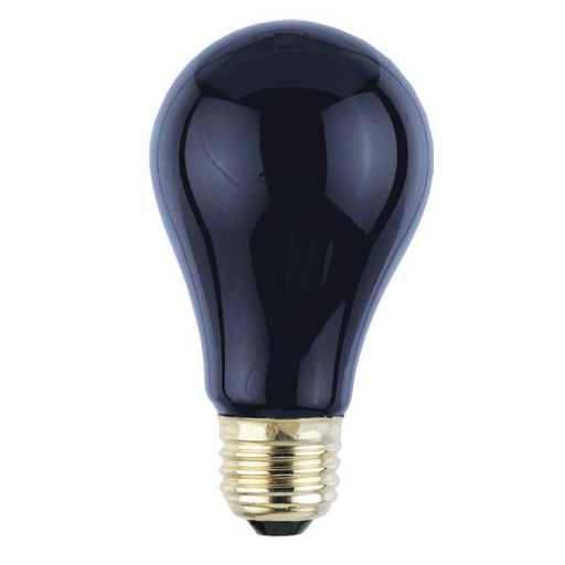 75 Watt A19 Incandescent Light Bulb