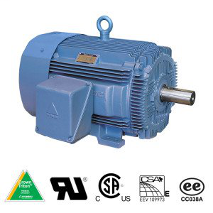 WorldWide Electric HHI50-12-365T 50HP Hyundai Crown Triton™ Severe Duty Motor, 1200 RPM, 208-230/460V 3-Phase, 365T Frame, TEFC Enclosure, Rigid Base Product image for WorldWide Electric HHI50-12-365T 50HP Hyundai Crown Triton™ Severe Duty Motor, 1200 RPM, 208-230/460V 3-Phase, 365T Frame, TEFC Enclosure, Rigid Base