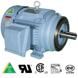 WorldWide Electric HHI1-18-143TC 1HP Hyundai Crown Triton&#8482; Severe Duty Motor, 1800 RPM, 208-230/460V 3-Phase, 143TC Frame, TEFC Enclosure, C-Face w/Feet