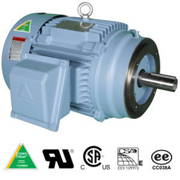 WorldWide Electric HHI2-18-145TCRD 2HP Hyundai Crown Triton&#8482; Severe Duty Motor, 1800 RPM, 208-230/460V 3-Phase, 145TCRD Frame, TEFC Enclosure, C-face, Round Body