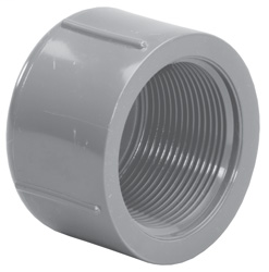 2 FPT SCH80C Cap