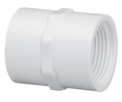1/2 FPT x FPT Sch40 Coupling