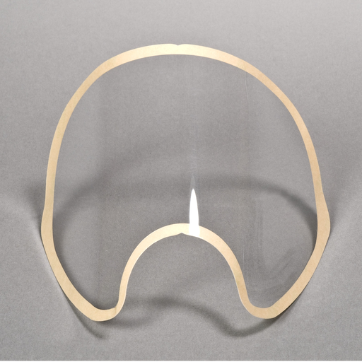 3Mâ„¢ Semi-Permanent Lens Protector FF-400-17, 20 EA/Case