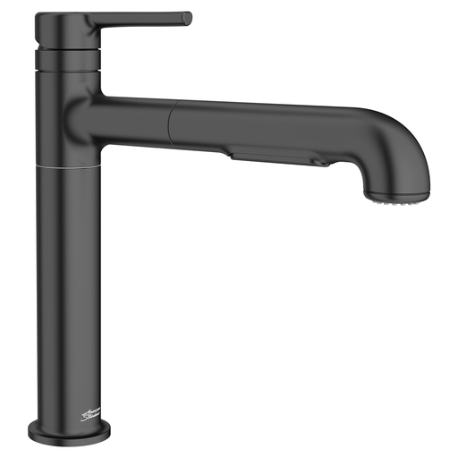 Serin Pull Out Kitchen Faucet, MATTE BLACK (FITTINGS)