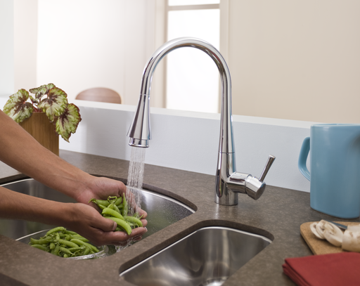 Pekoe Extender Kitchen Faucet,