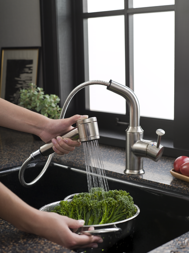 Pekoe 1-Handle Pull-Out Kitchen Faucet,