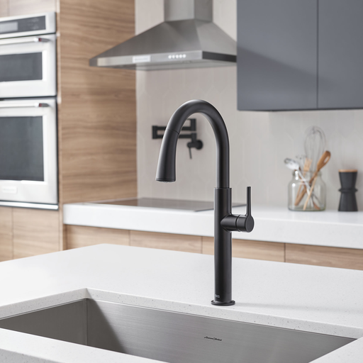 Serin Pull-Down Kitchen Faucet, MATTE BLACK (FITTINGS)
