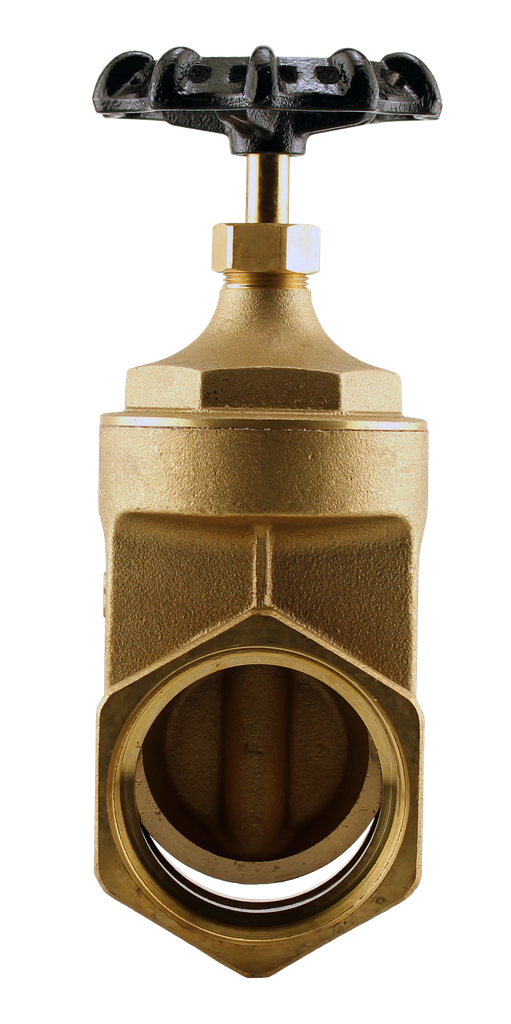 NO LEAD 3" FPT G.V. 200 WOG