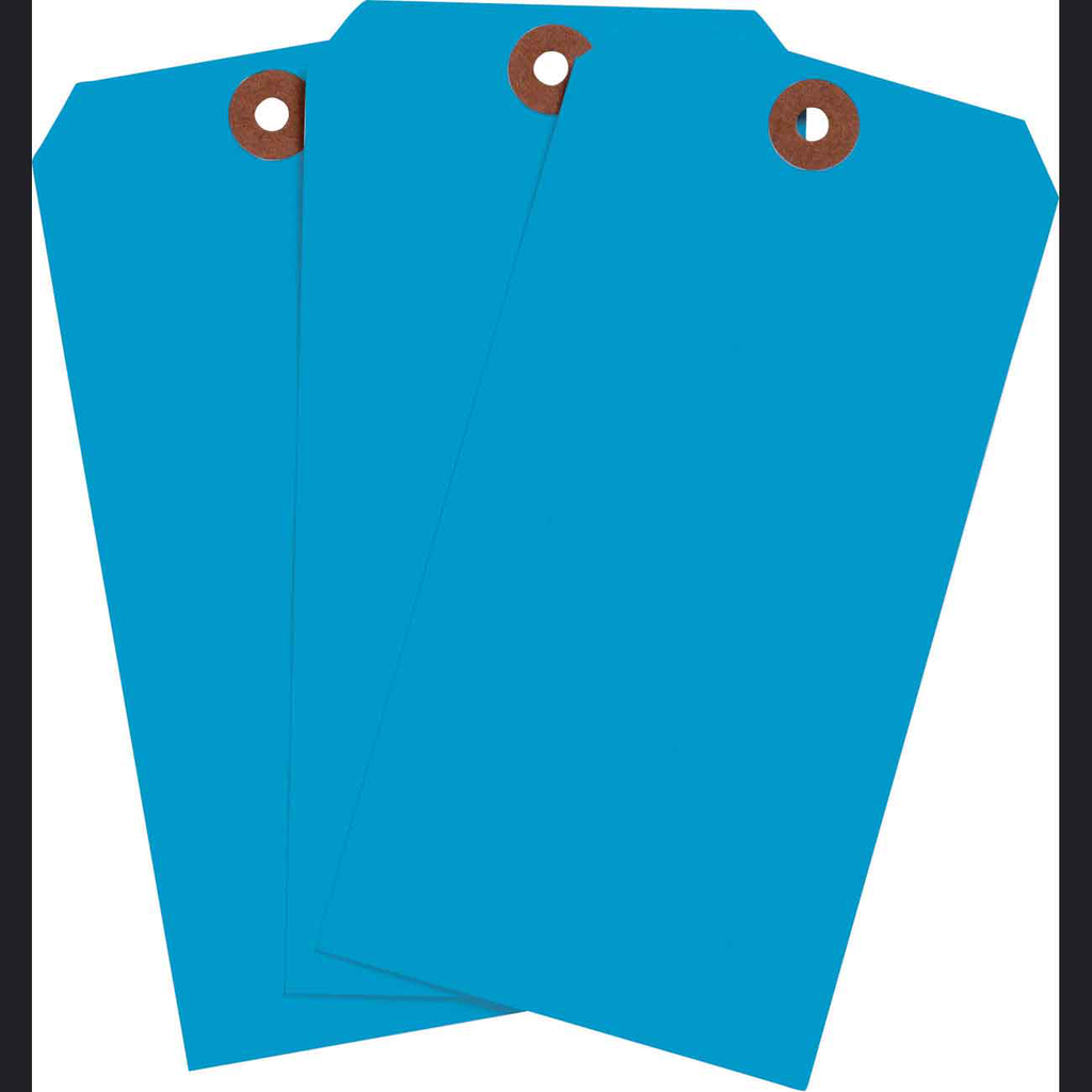 Product image for Brady 102094 Blank Write-On Tags, 5.75" H x 2.875" W, Cardstock, Light Blue