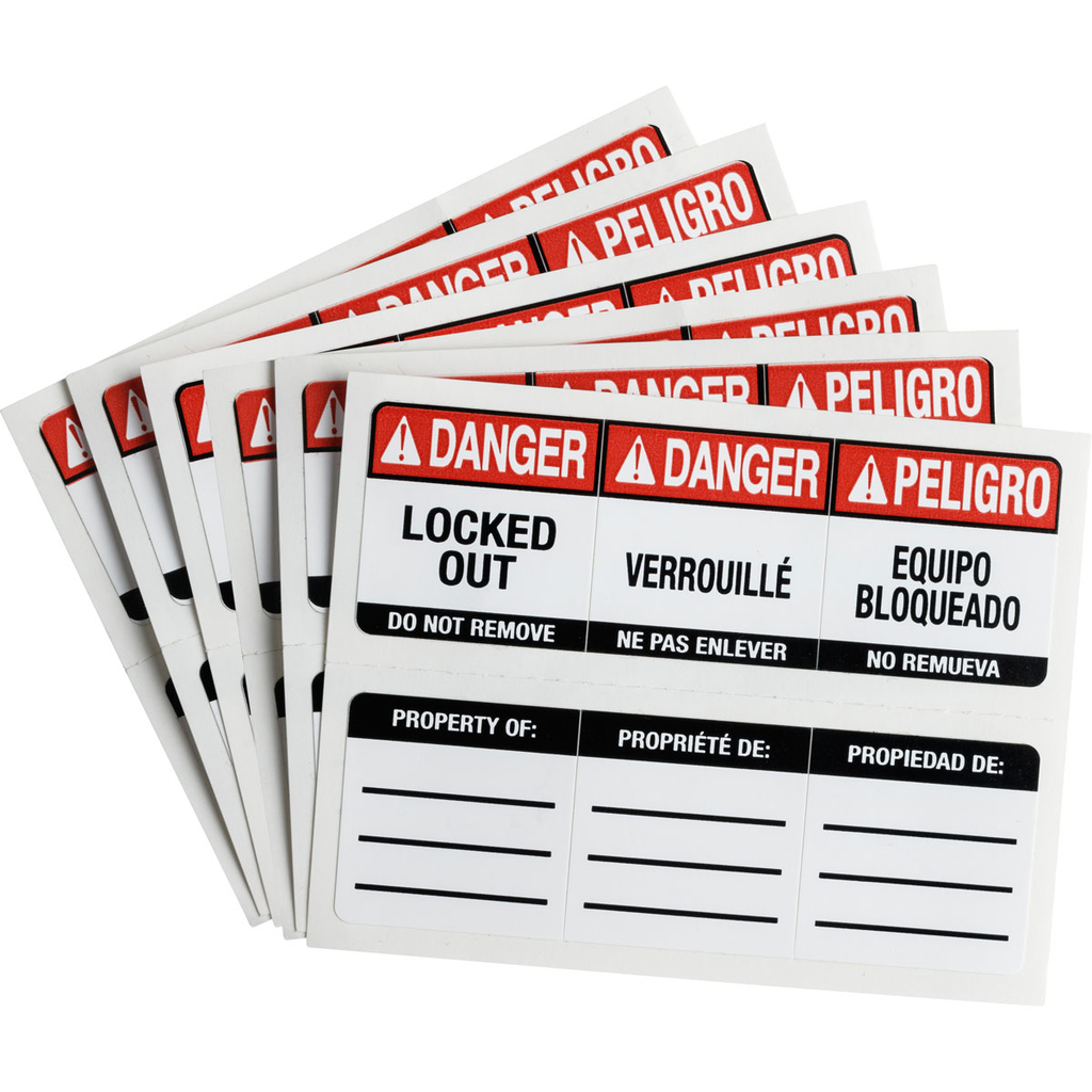 Product image for Brady 150556 Brady SafeKey Padlock Labels Vinyl, 0.89" H x 0.87" W Trilingual, Pack of 6