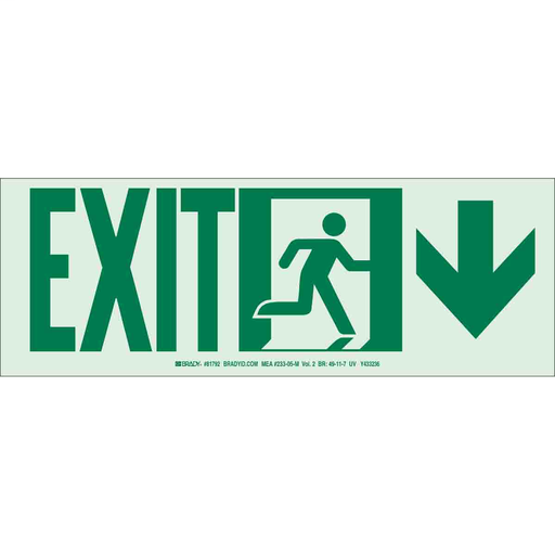 Product image for Brady 81791 BradyGlo NYC Approved Exit With Running Man And Down Arrow Sign, 5" H x 14" W x 0.0096" D