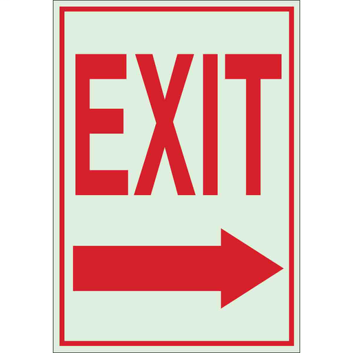Product image for Brady 80217 BradyGlo Exit Sign, 10" H x 7" W x 0.008" D