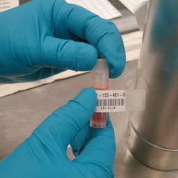 BMP21 Series Clear Polyester Labels with White Printable Zone 0.375" W x 21' L
