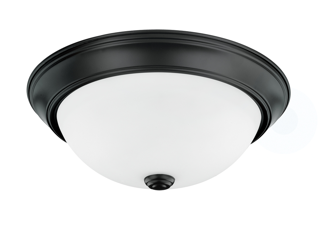 Product image for HomePlace Ceiling 2 Light Flush Mount - Matte Black