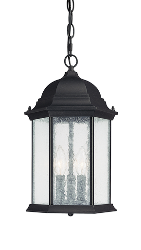 Product image for Main Street 3 Light Hanging Lantern - Black
