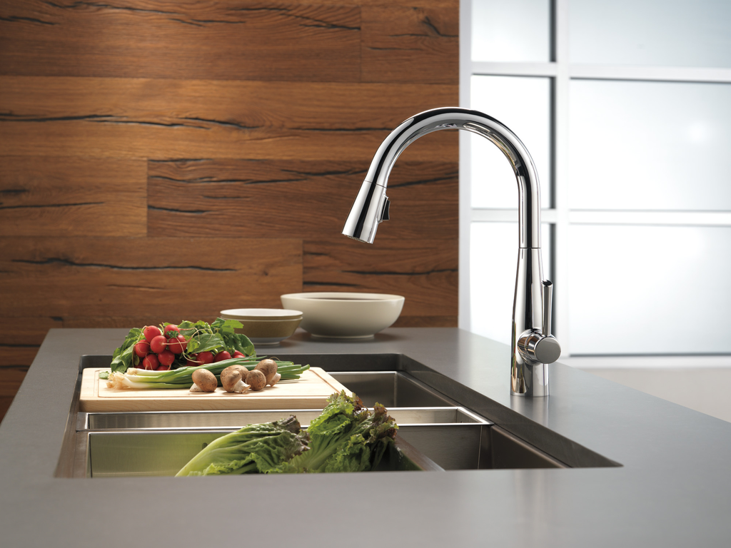 Delta Essa®: Single Handle Pull-Down Kitchen Faucet - Single Handle Lever - Chrome