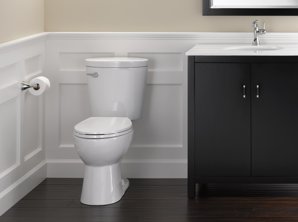 Delta Cassidy®: Tissue Holder - Chrome