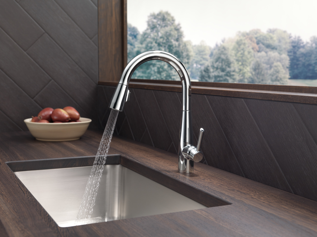Delta Essa®: Single Handle Pull-Down Kitchen Faucet - Single Handle Lever - Chrome