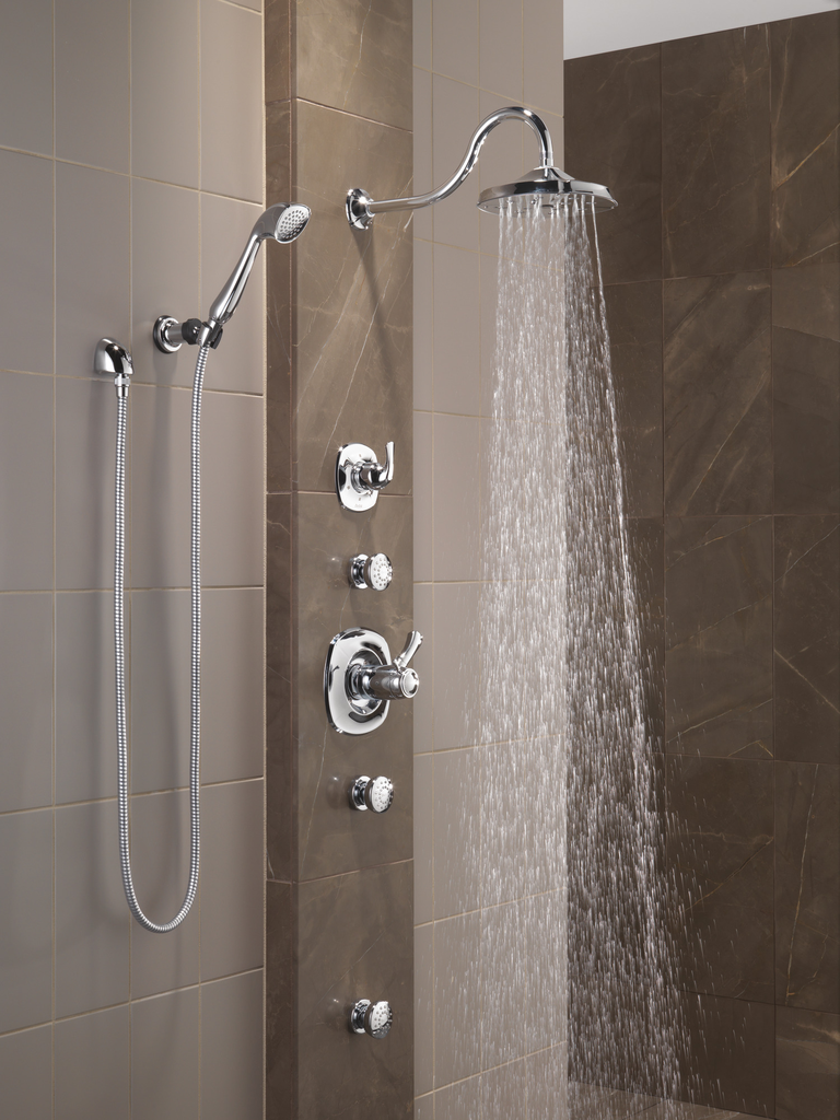 Delta Other: Surface Mount Body Spray - Chrome