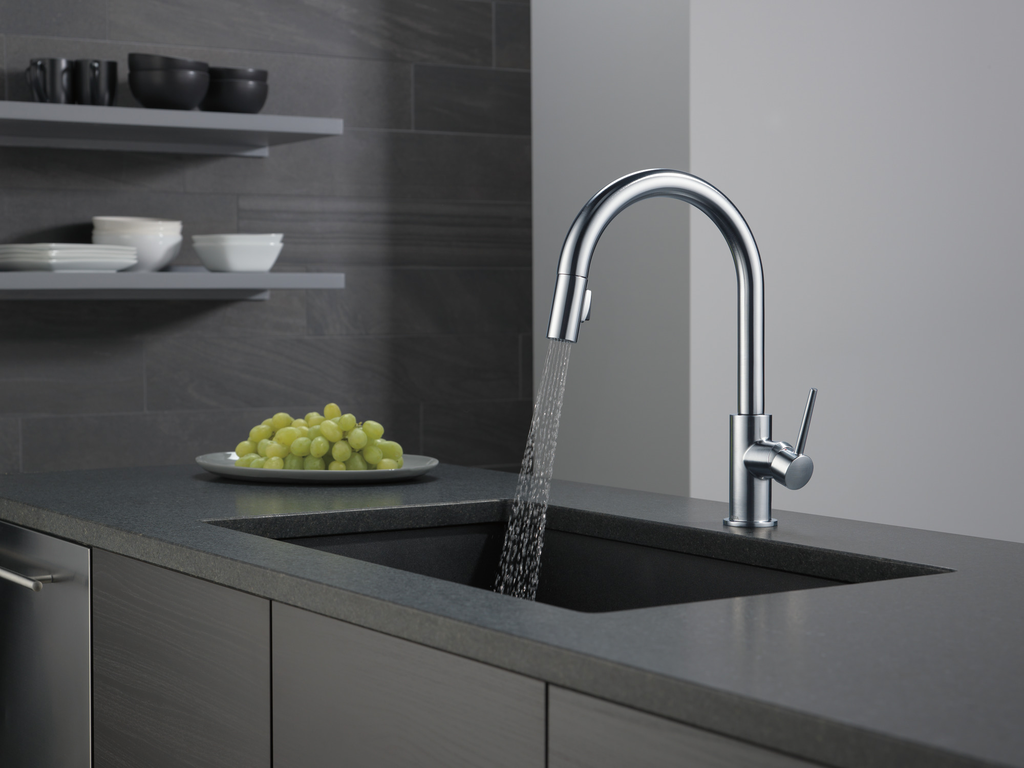 Delta Trinsic®: Single Handle Pull-Down Kitchen Faucet - Single Handle Lever - Arctic Stainless