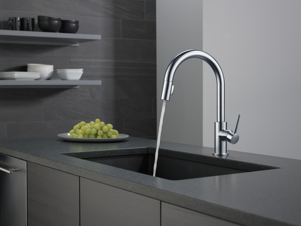 Delta Trinsic®: Single Handle Pull-Down Kitchen Faucet - Single Handle Lever - Arctic Stainless