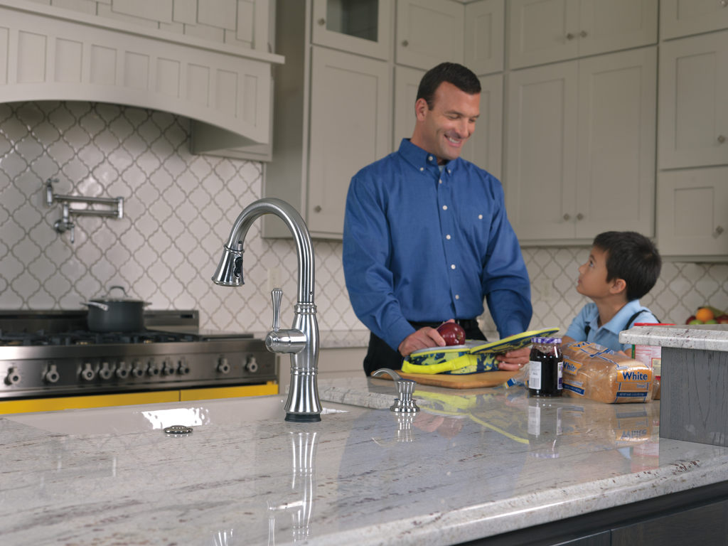 Delta Other: Traditional Wall Mount Pot Filler - Two Handle Lever - Arctic Stainless