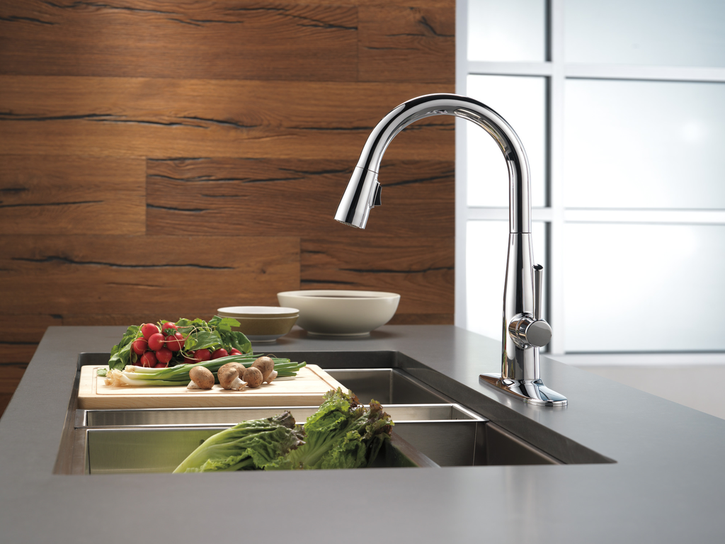 Delta Essa®: Single Handle Pull-Down Kitchen Faucet - Single Handle Lever - Chrome