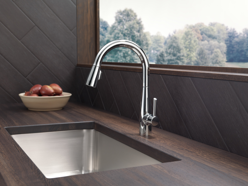 Delta Essa®: Single Handle Pull-Down Kitchen Faucet - Single Handle Lever - Chrome