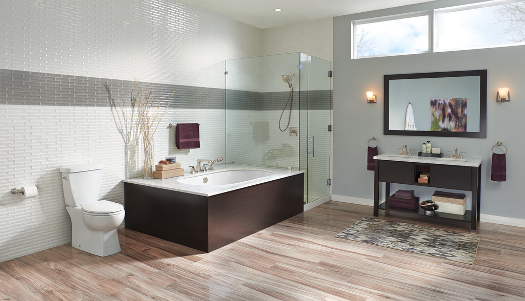 Delta Ashlyn®: Monitor® 17 Series Shower Trim With In2Ition® - Single Handle Lever - Stainless