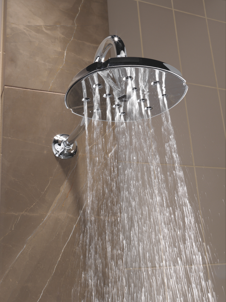 Delta Addison®: Shower Arm - 16" - Chrome