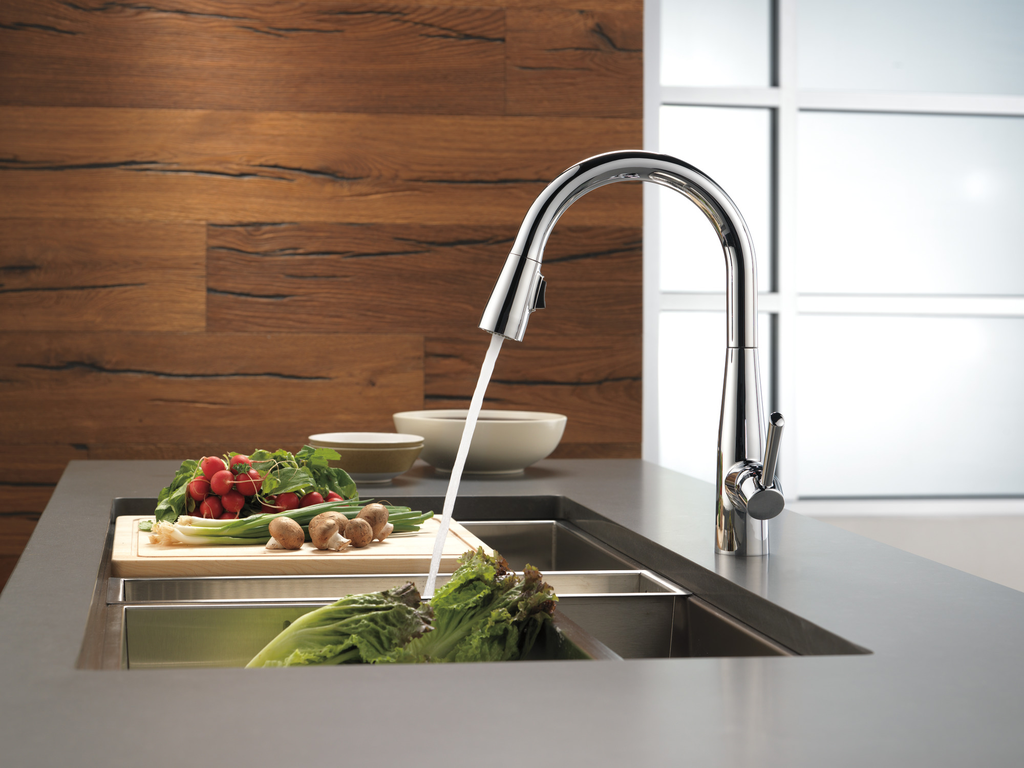 Delta Essa®: Single Handle Pull-Down Kitchen Faucet - Single Handle Lever - Chrome