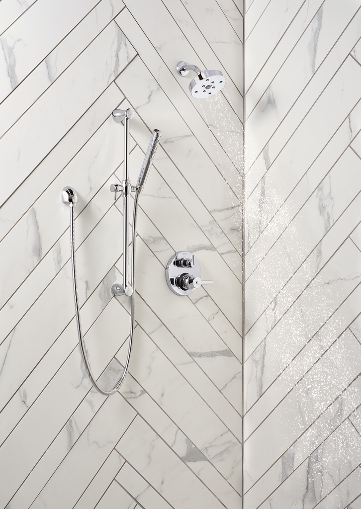 Delta Other: Shower Arm - Chrome