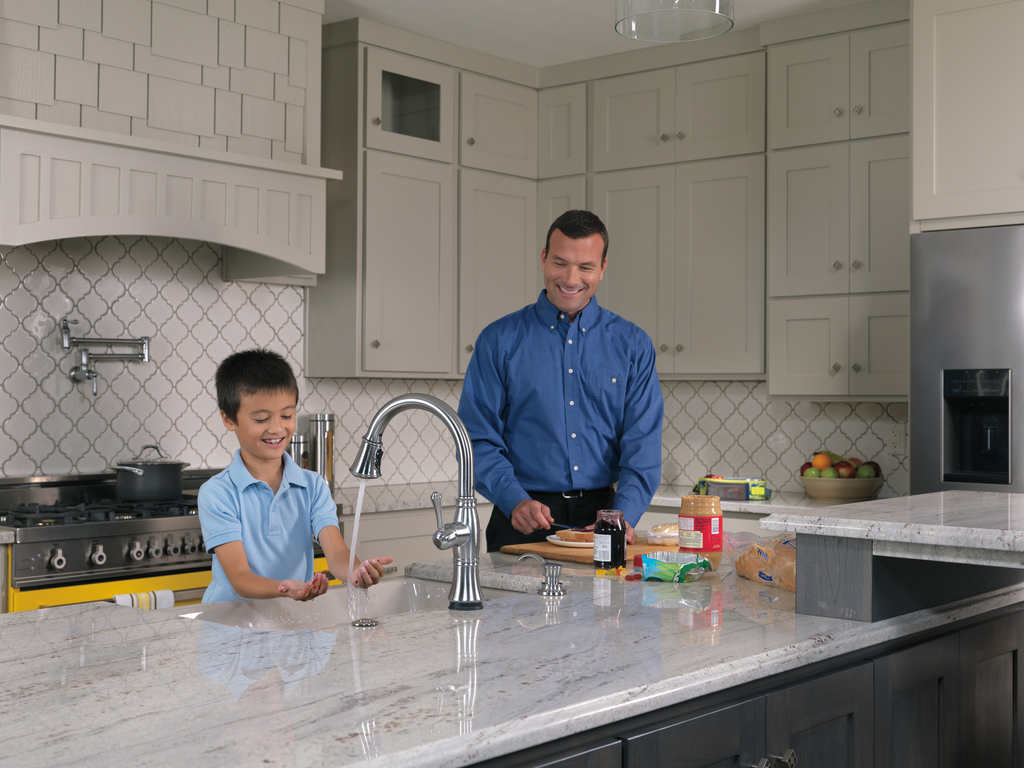 Delta Other: Traditional Wall Mount Pot Filler - Two Handle Lever - Arctic Stainless