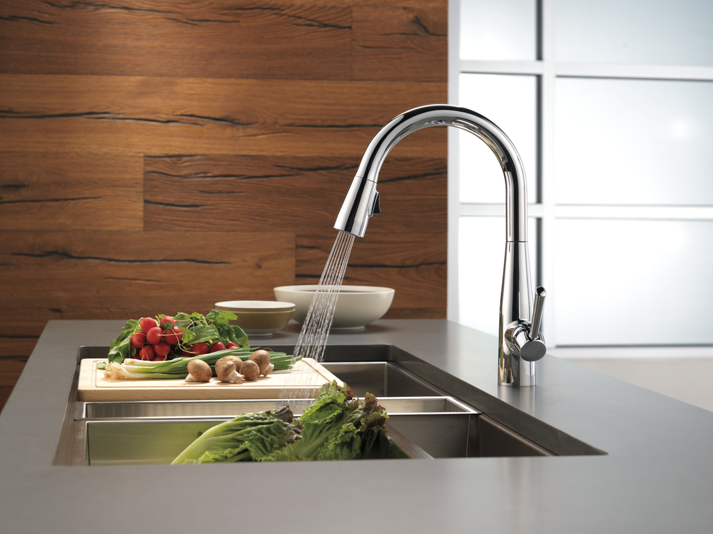 Delta Essa®: Single Handle Pull-Down Kitchen Faucet - Single Handle Lever - Chrome