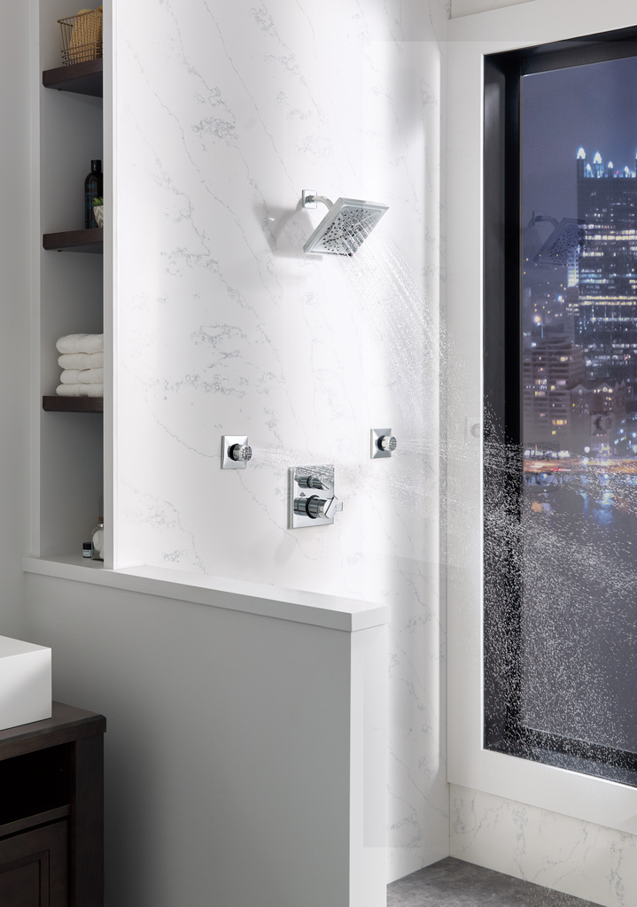 Delta Other: Shower Arm - Chrome